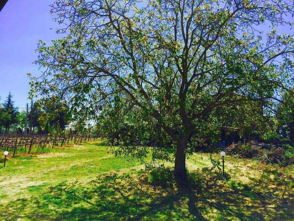 פיטיליאנו Country House Maremma Nel Tufo מראה חיצוני תמונה