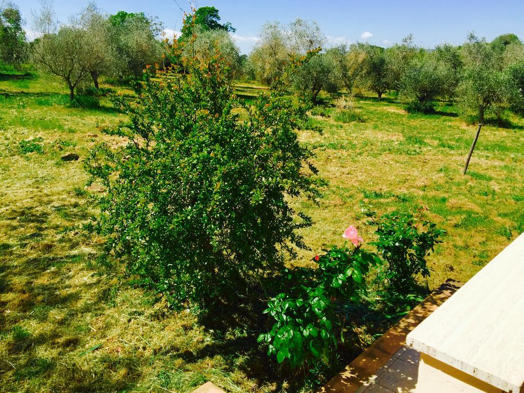 פיטיליאנו Country House Maremma Nel Tufo מראה חיצוני תמונה